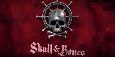 https://cdn.alza.cz/Foto/ImgGalery/Image/Article/skull-and-bones-cover-nahled.jpg