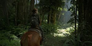 https://cdn.alza.cz/Foto/ImgGalery/Image/Article/the-last-of-us-part-ii-ellie-na-koni-nahled.jpg