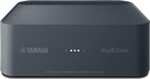MusicCast WXAD-10