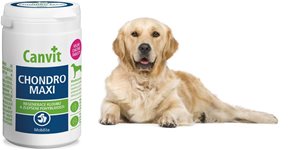 Doplňky stravy Canvit pro zdravé, vitální a spokojené psy