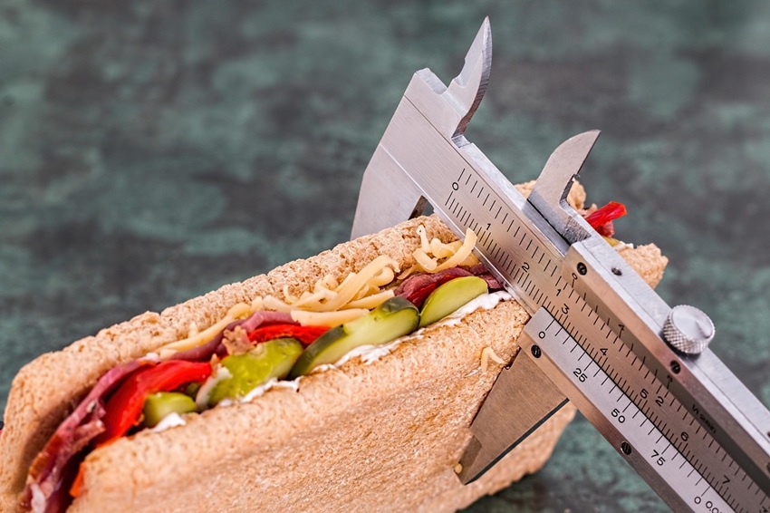 Bazální metabolismus