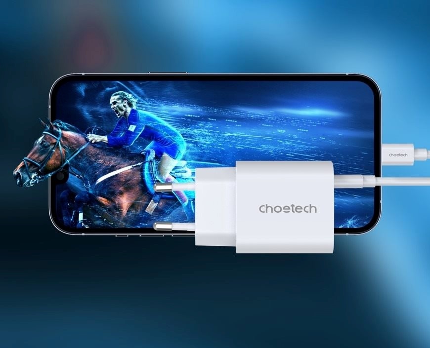 Choetech PD20W Typ-C-Wandladegerät + MFI Typ-C zu Beleuchtungskabel