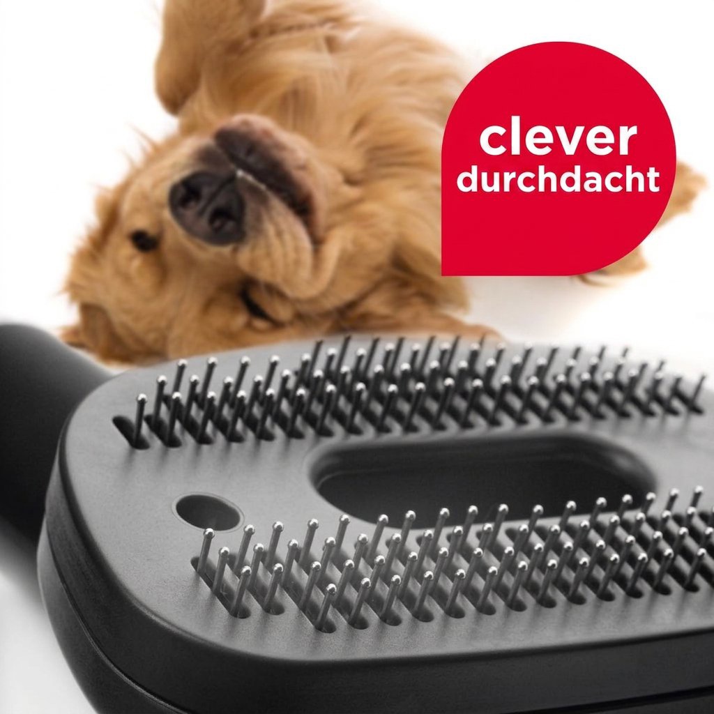 Beutelloser Staubsauger Concept VP5240n 4A RADICAL Pet Expert