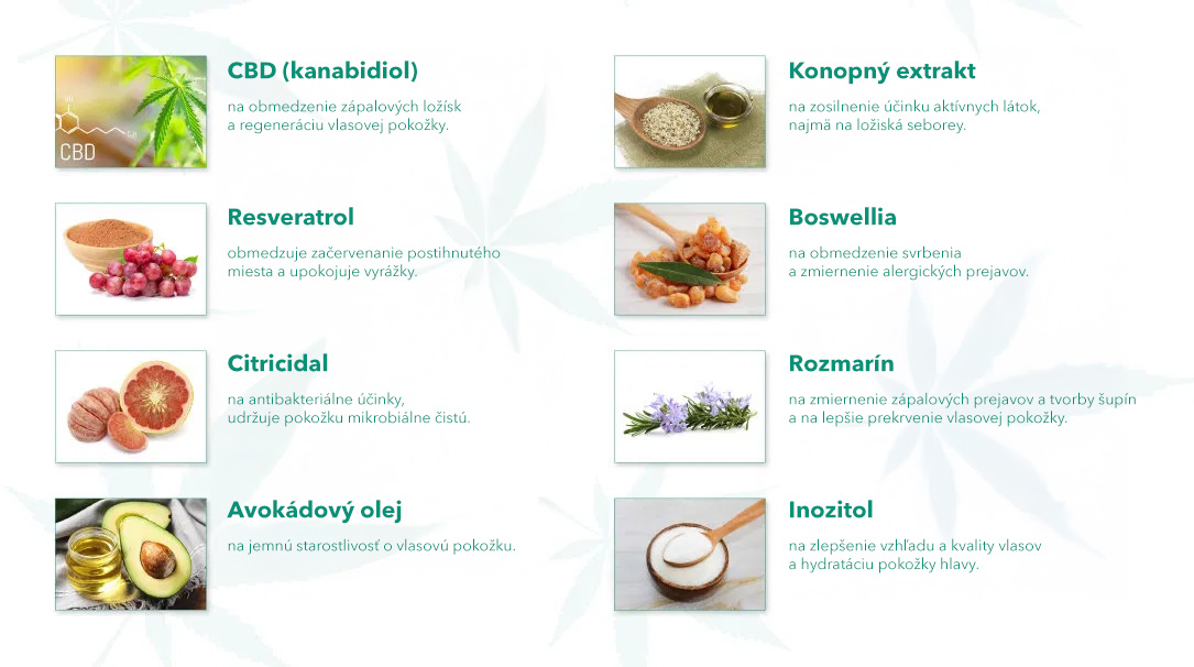 Šampón CANNADERM Capillus Seborea CBD+ Šampón 150 ml