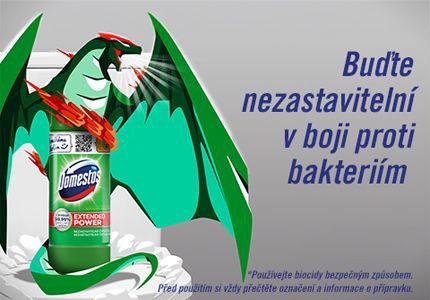domestos wc