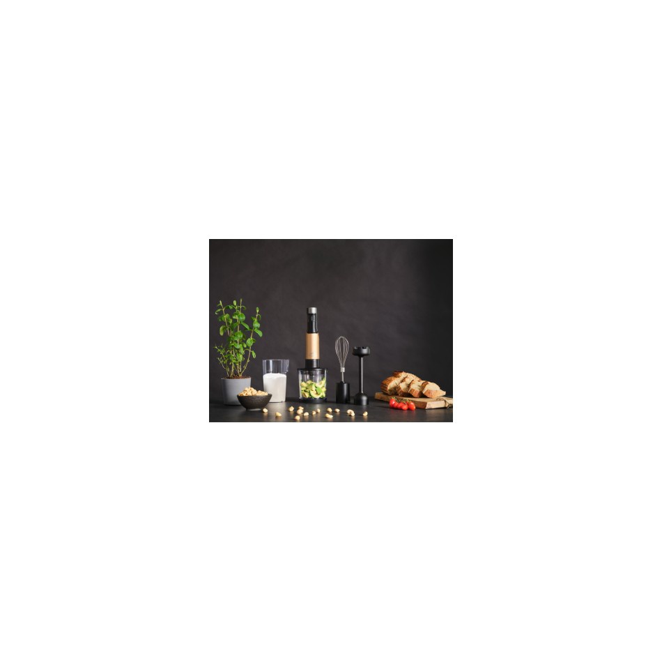 ETA Lento 3017 90000 stick blender ETA Lento 3017 90000 stick blender