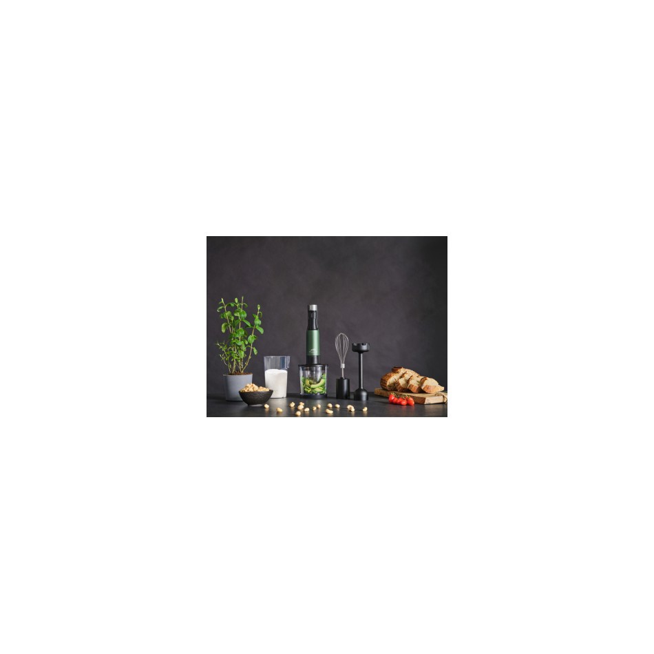 ETA Lento 3017 90000 hand blender ETA Lento 3017 90000 hand blender