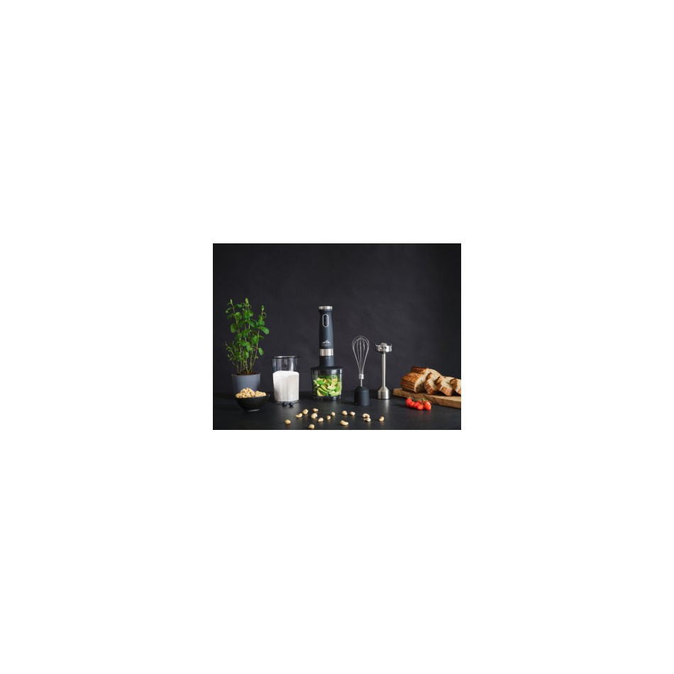 ETA Lento 3017 90000 stick blender ETA Lento 3017 90000 stick blender