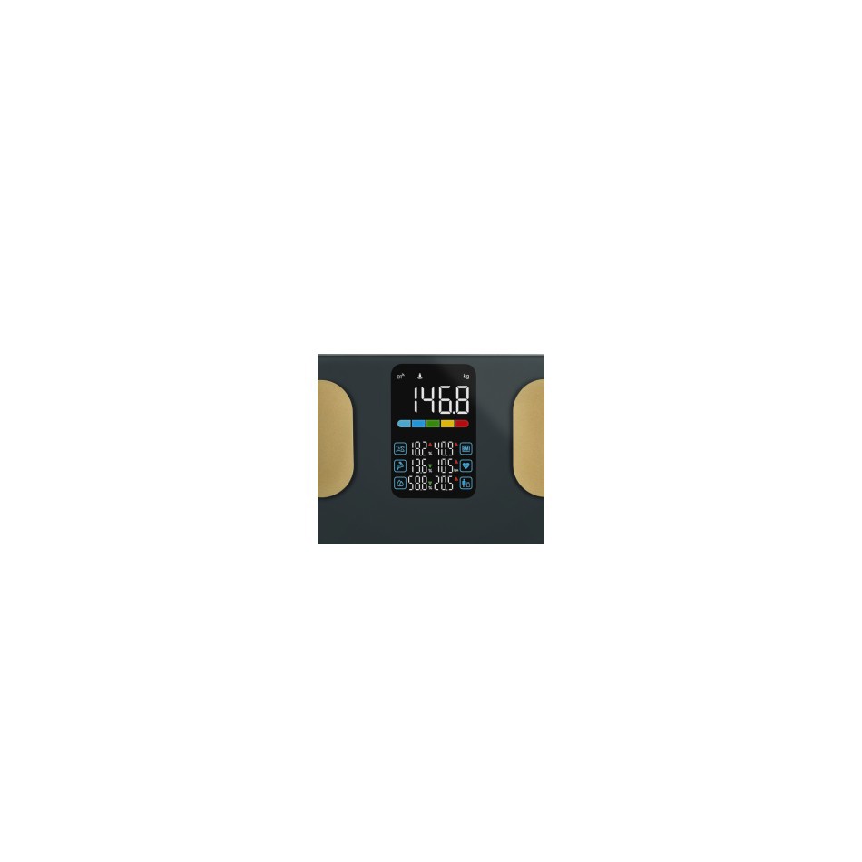ETA Vital Gym – comprehensive body analysis