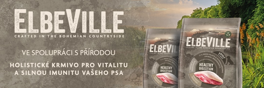 Elbeville