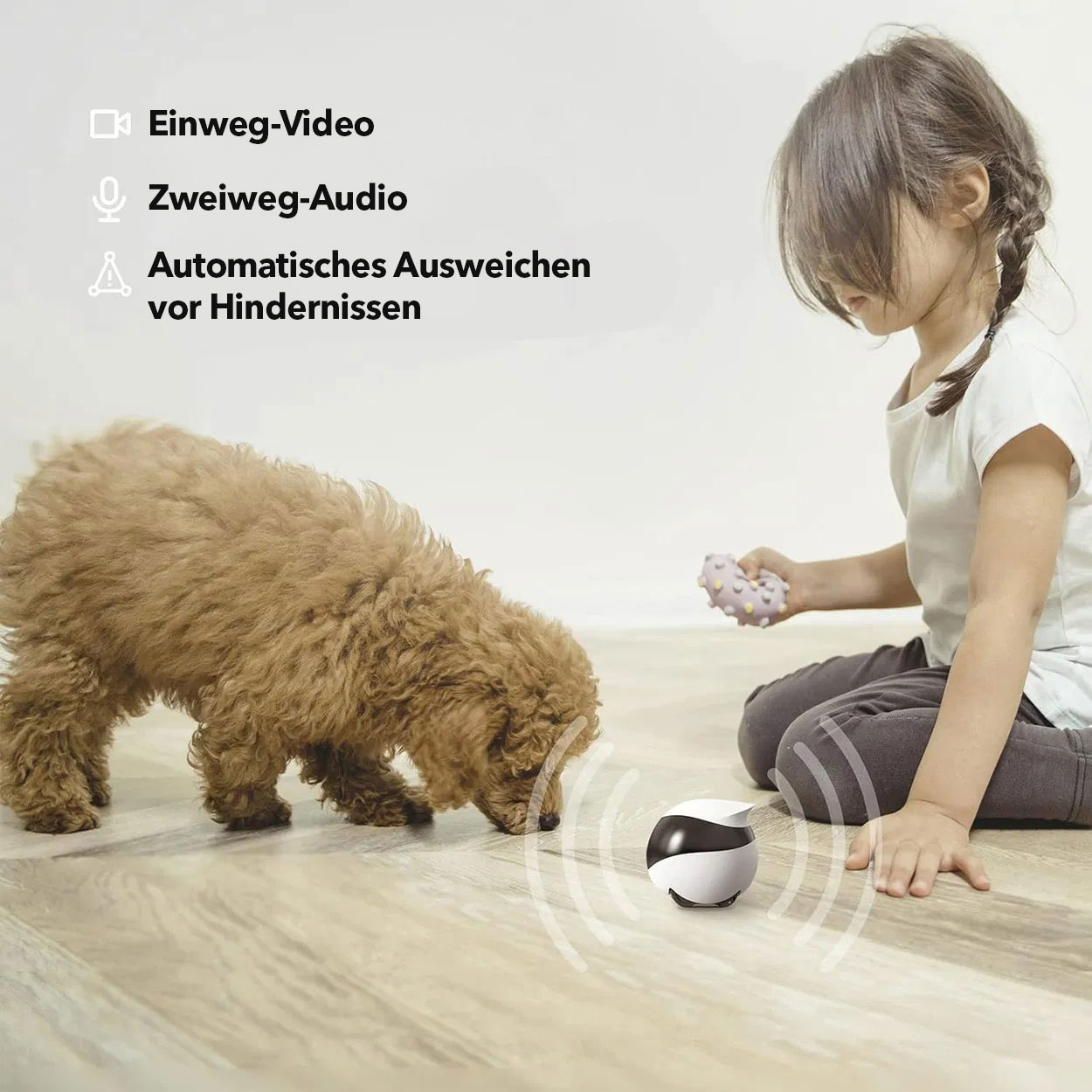Roboter Enabot EBO SE - Robotischer Begleiter mit Kamera