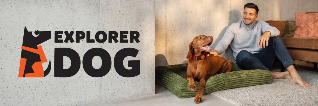 Explorer Dog