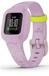 Garmin Vívofit