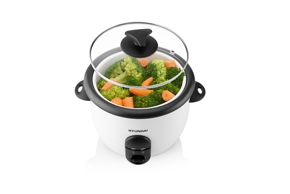 Hyundai RC 060 rice cooker Hyundai RC 060 rice cooker