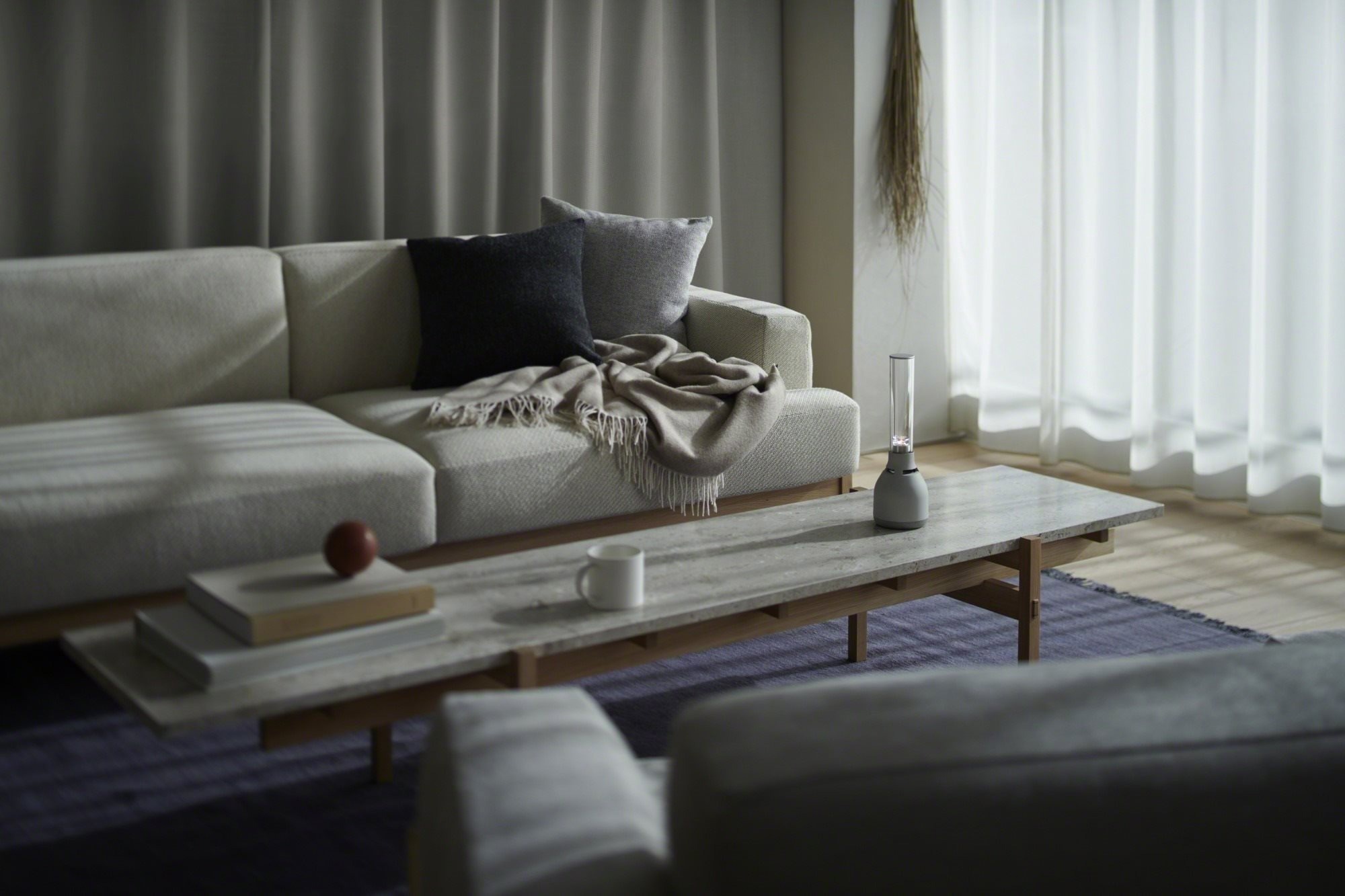 Sony LSPX-S3 Bluetooth speaker