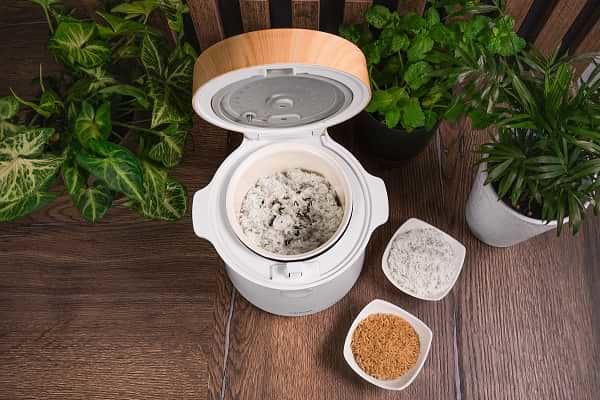 Concept RE3030 rice cooker