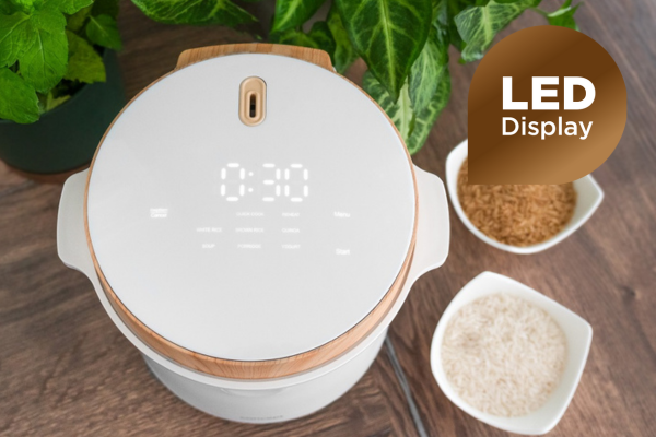 Concept RE3030 rice cooker