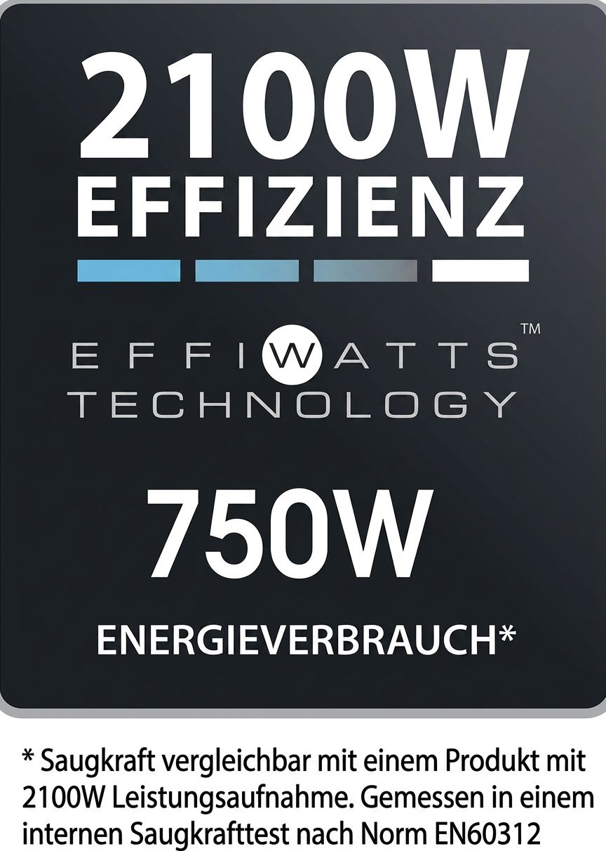 Staubsauger ohne Beutel Rowenta RO2933EA Swift Power Cyclonic 