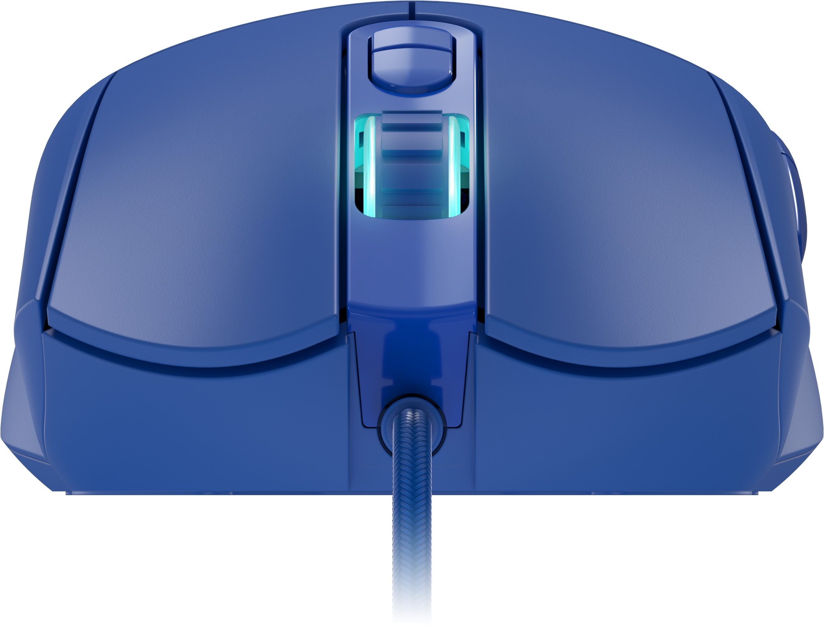 Rapture PYTHON blau Rapture PYTHON blau