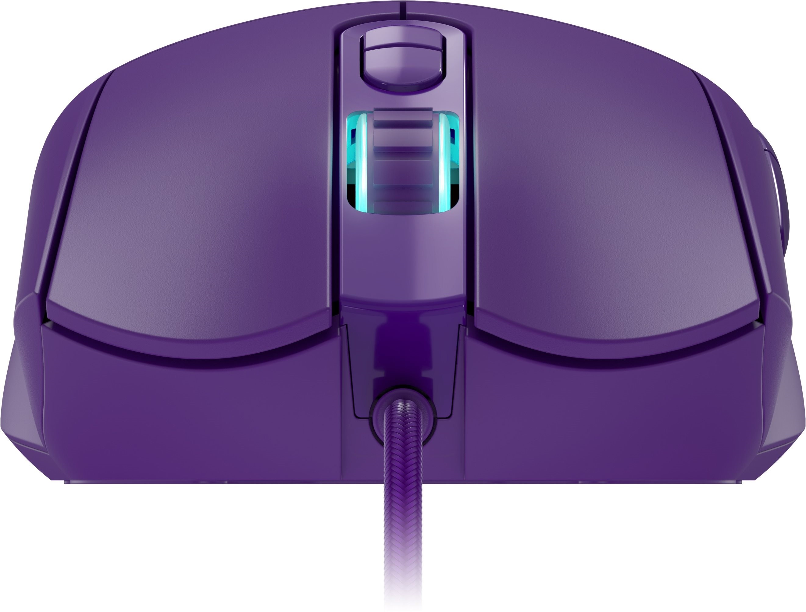Rapture PYTHON violett