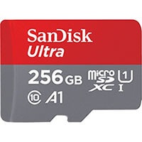 Paměťová karta 256 GB 