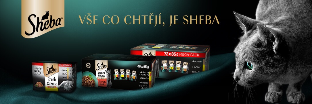 Sheba