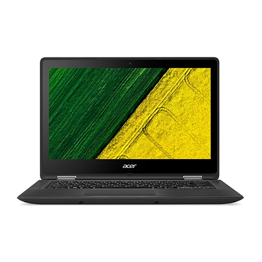 acer