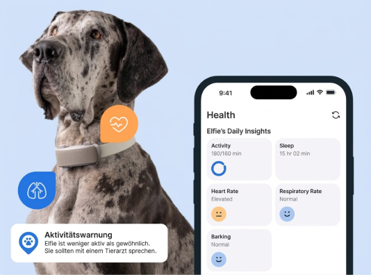 GPS-Tracker für Tiere Tractive DOG 6 XL GPS-Tracker für Hunde mit Gesundheitsmonitor und Benachrichtigungen, Schwarz