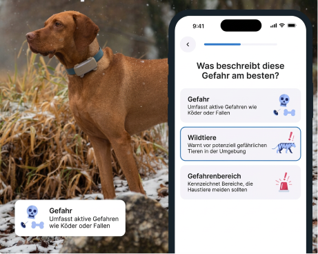 GPS-Tracker für Tiere Tractive DOG 6 XL GPS-Tracker für Hunde mit Gesundheitsmonitor und Benachrichtigungen, Schwarz