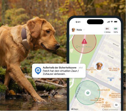 GPS-Tracker für Tiere Tractive DOG 6 XL GPS-Tracker für Hunde mit Gesundheitsmonitor und Benachrichtigungen, Schwarz