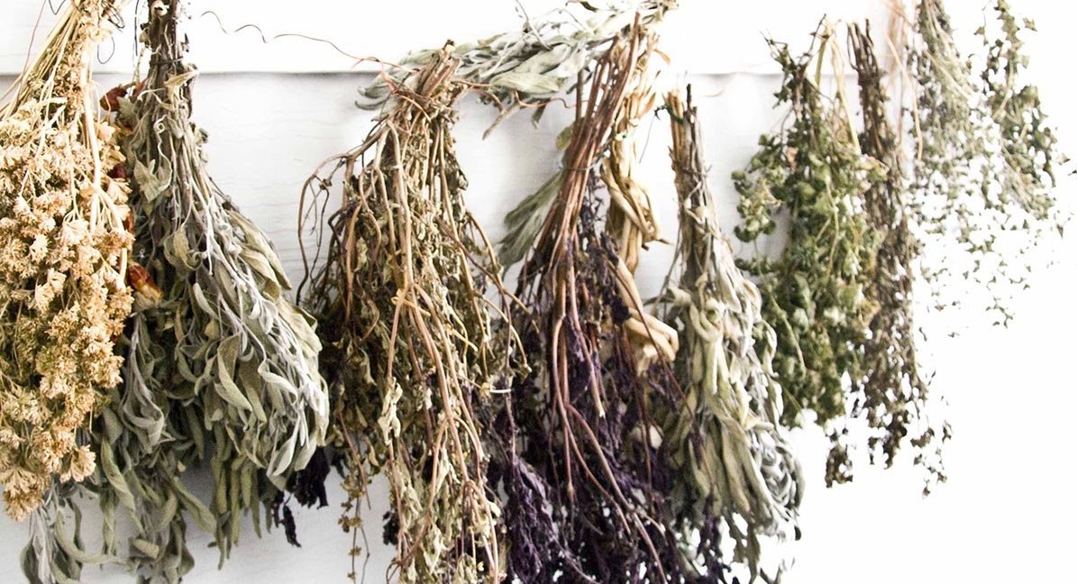 Nejlepší betakaroten