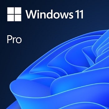 Windows 11 Pro edice