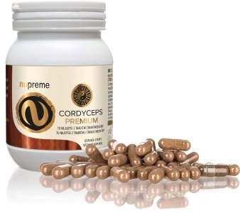 Cordyceps sinensis
