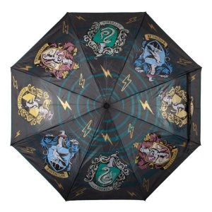 Harry Potter esernyő
