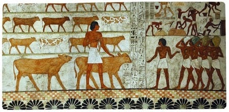 Dobytek jako platidlo v Egyptě