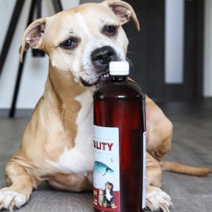 vitamíny na srst psa