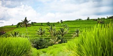 Bali – dovolenka v tropickom raji, z ktorej sa vám nebude chcieť vracať