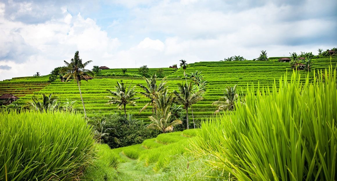Bali – dovolená v tropickém ráji, ze které se vám nebude chtít vracet