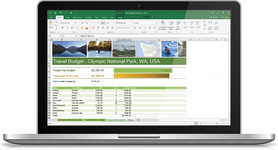 Microsoft Word