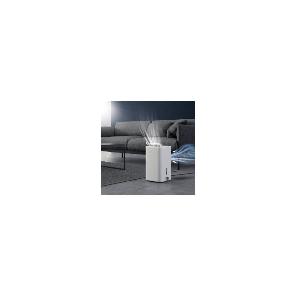 Rowenta DH4236F0 Intense Compact