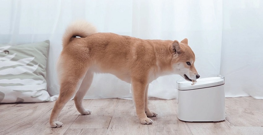 Fontána Xiaomi Smart Pet Fountain