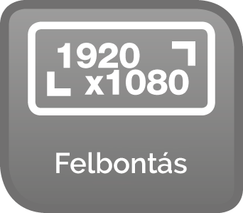 XtendLan OKO 4 kültéri IP kamera