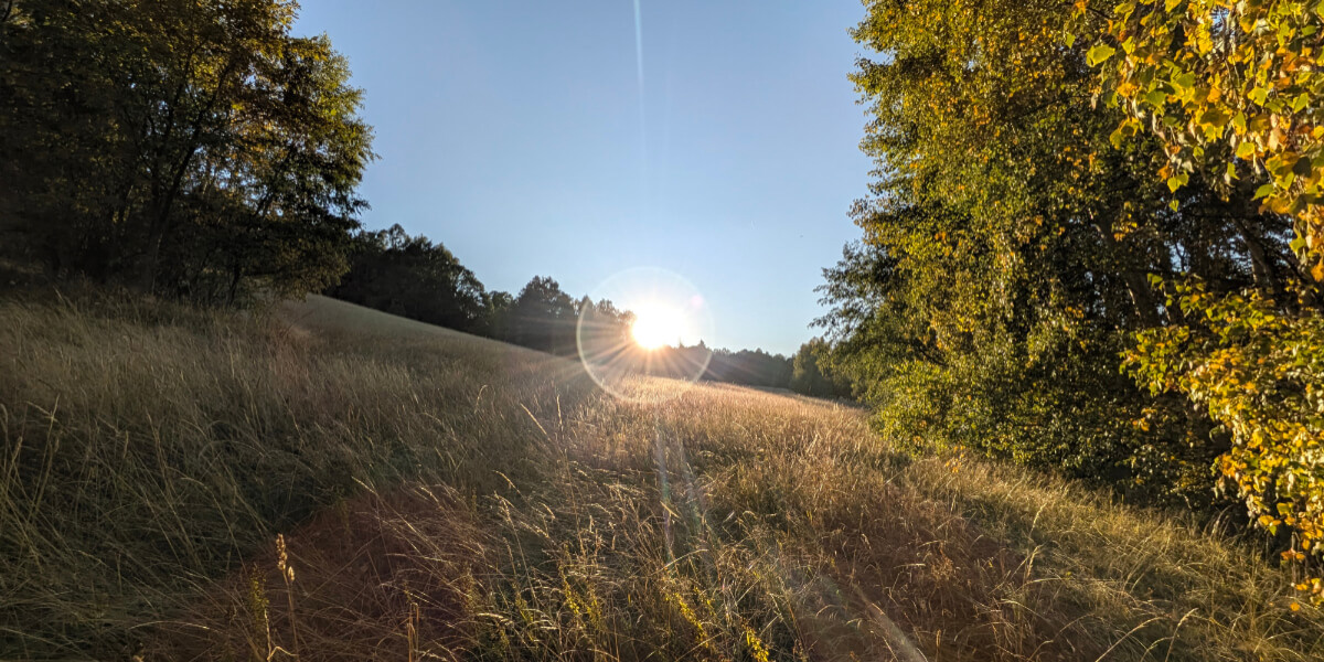 Google Pixel 11, recenze, fotografie upravená pomocí AI