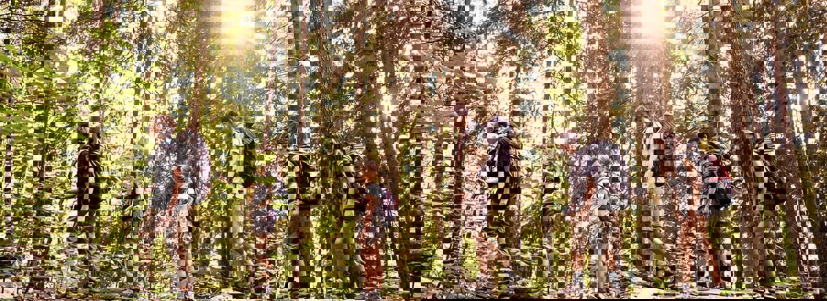 Junák – český skaut, z. s.