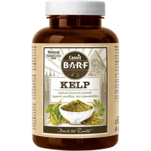 kelp