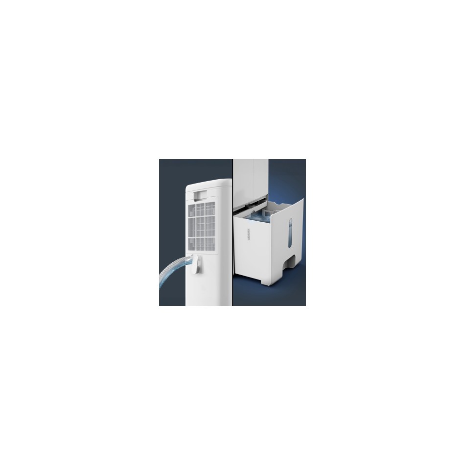 Rowenta DH4236F0 Intense Compact