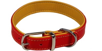 Kožené obojky pro stafordy