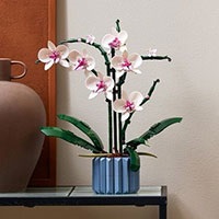 LEGO Botanical