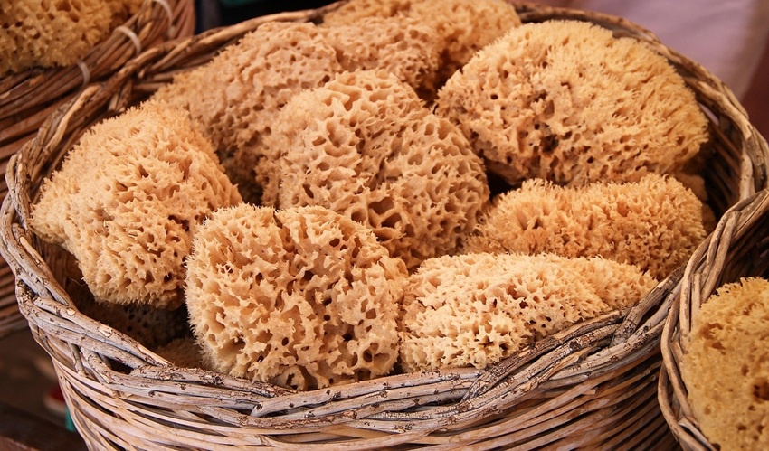 Menstruační pomůcky