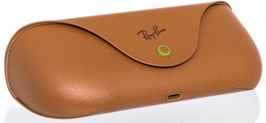 meta ray ban pouzdro